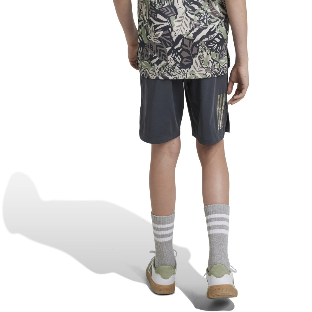 Disney Lion King Shorts