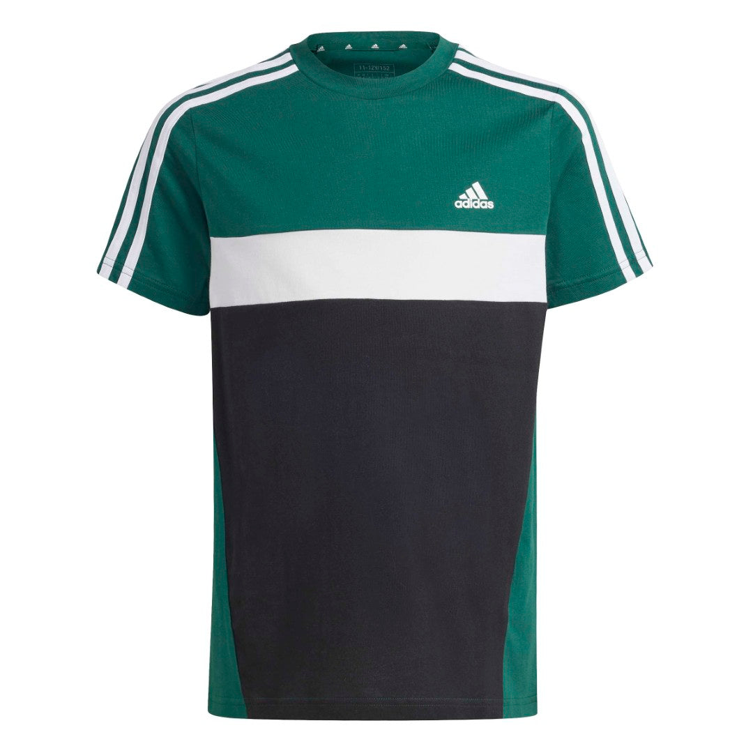Tiberio 3-Stripes Colorblock Cotton T-Shirt