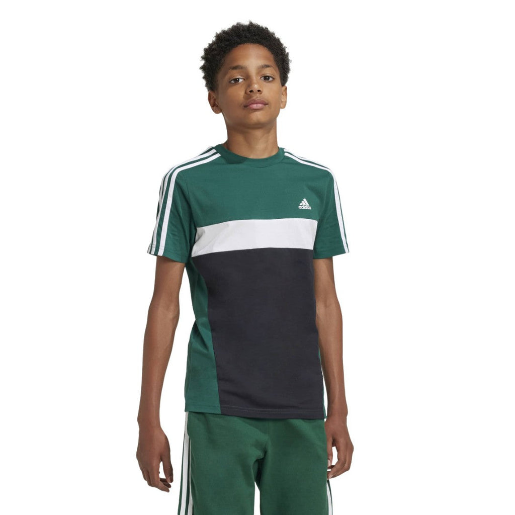 Tiberio 3-Stripes Colorblock Cotton T-Shirt