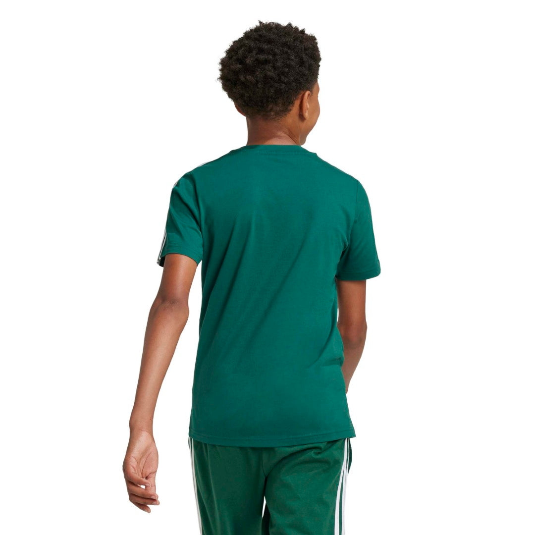 Tiberio 3-Stripes Colorblock Cotton T-Shirt