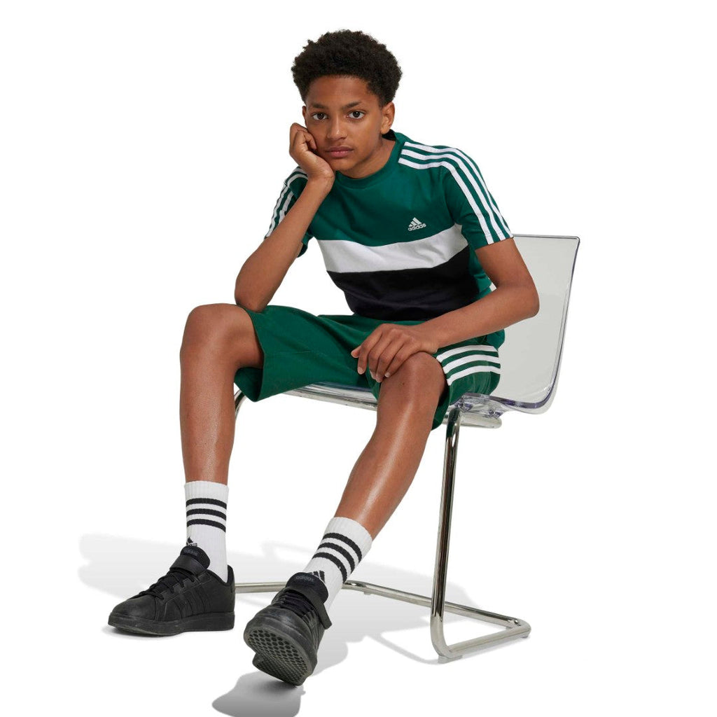 Tiberio 3-Stripes Colorblock Cotton T-Shirt