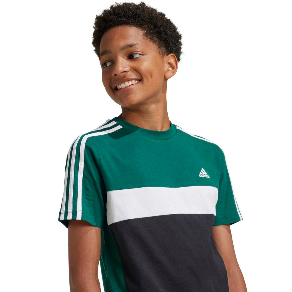 Tiberio 3-Stripes Colorblock Cotton T-Shirt