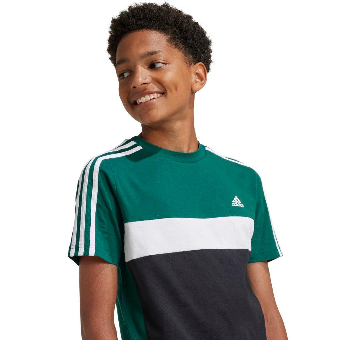 Tiberio 3-Stripes Colorblock Cotton T-Shirt