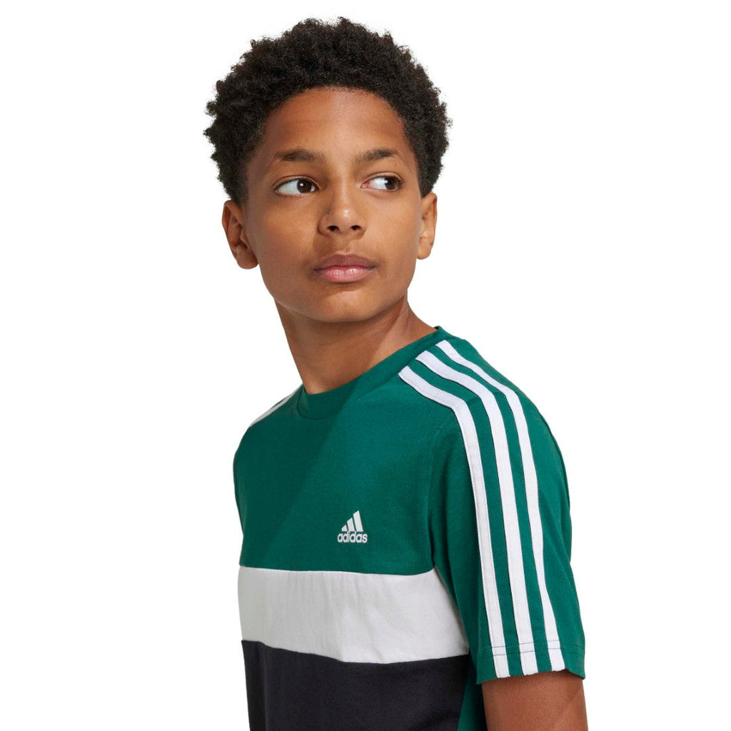 Tiberio 3-Stripes Colorblock Cotton T-Shirt