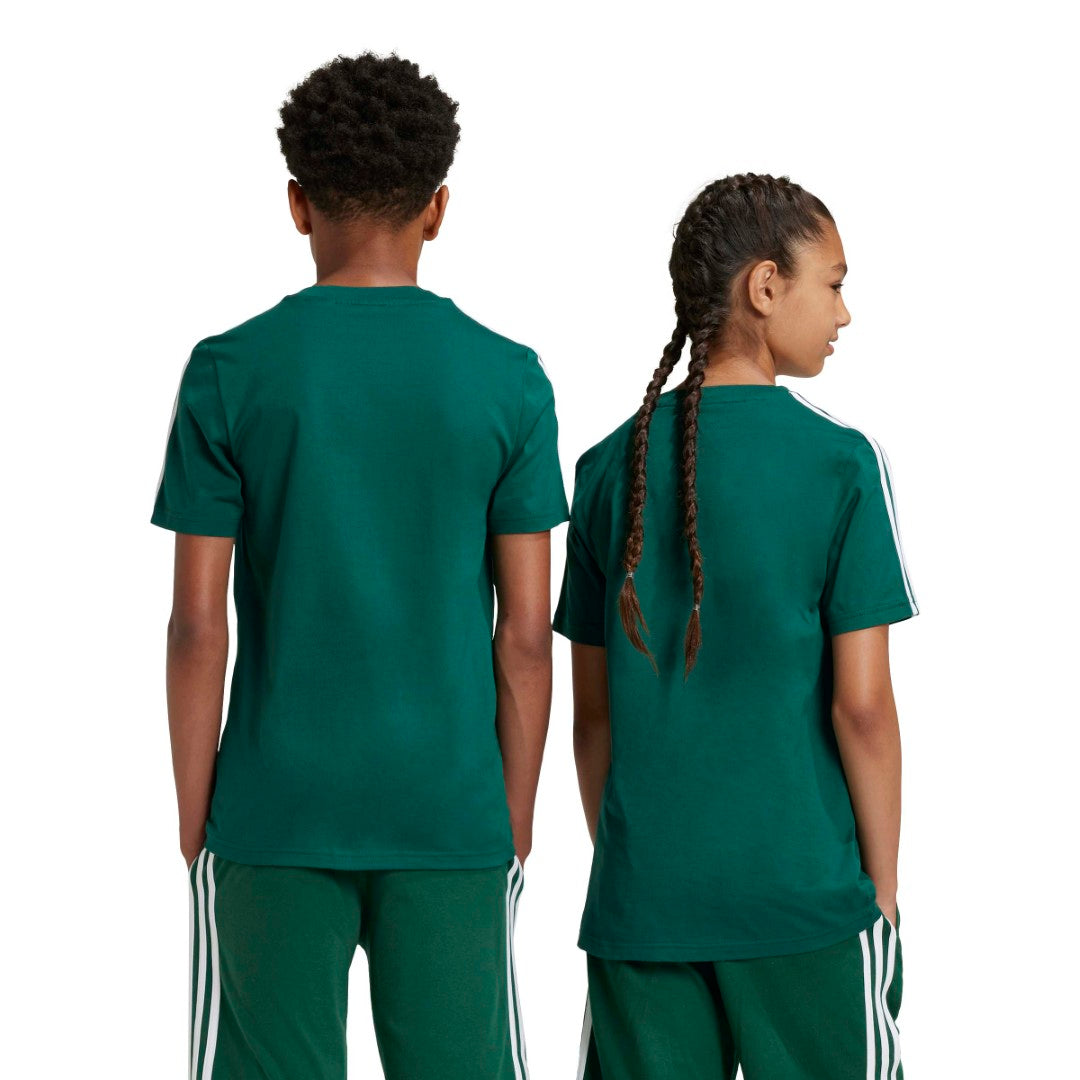 Tiberio 3-Stripes Colorblock Cotton T-Shirt