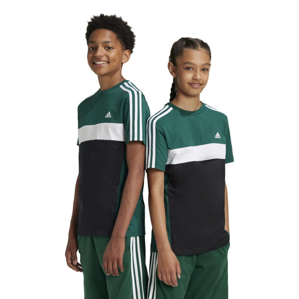 Tiberio 3-Stripes Colorblock Cotton T-Shirt