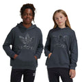 Trefoil Sweatshirt