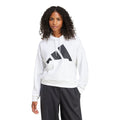 Essentials Big Logo French Terry Loose Sweatshirt