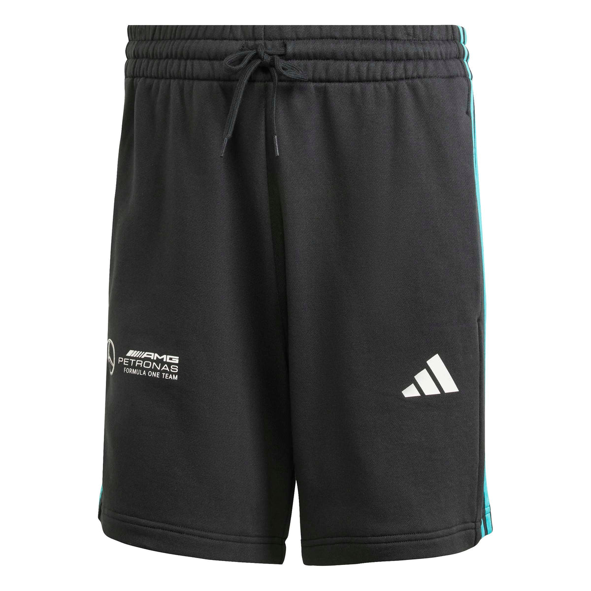 Mercedes-AMG Petronas Formula One Team DNA Short