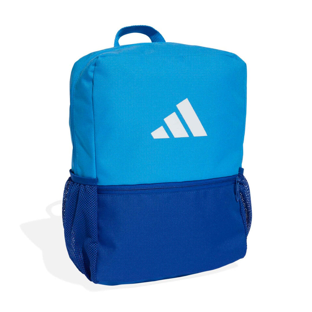 Seasonal Essentials Colorblock Backpack