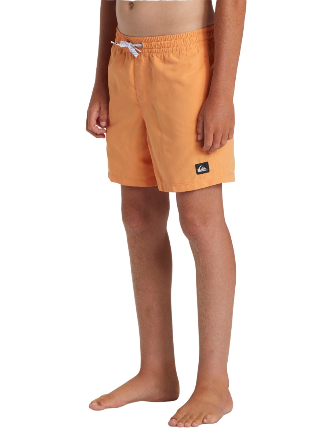 Everyday Solid Volley - Swim Shorts
