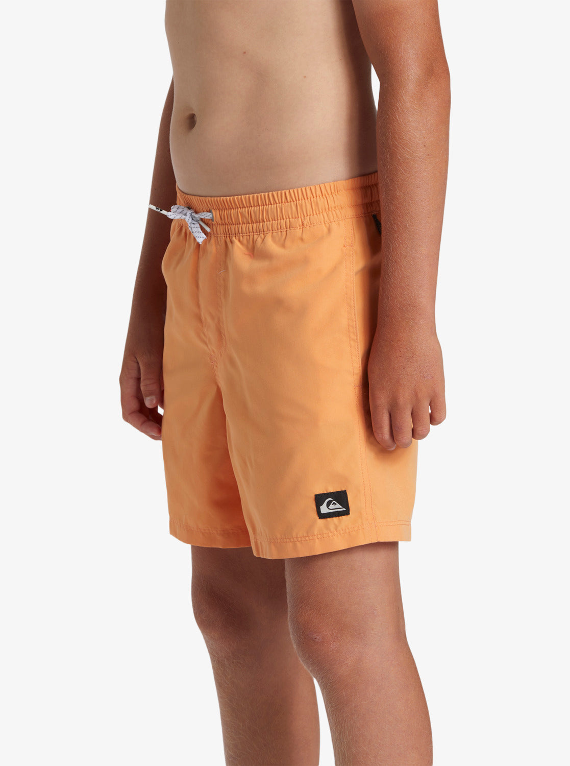 Everyday Solid Volley - Swim Shorts