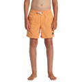 Everyday Solid Volley - Swim Shorts