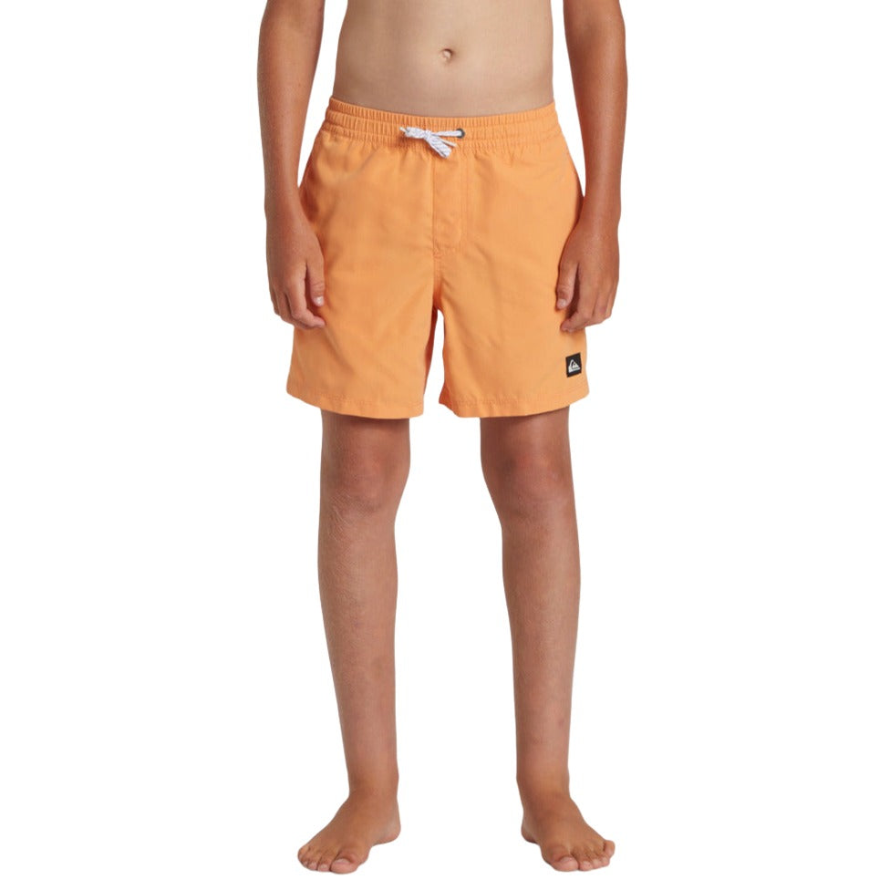 Everyday Solid Volley - Swim Shorts
