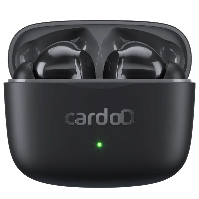 cardoO Buds