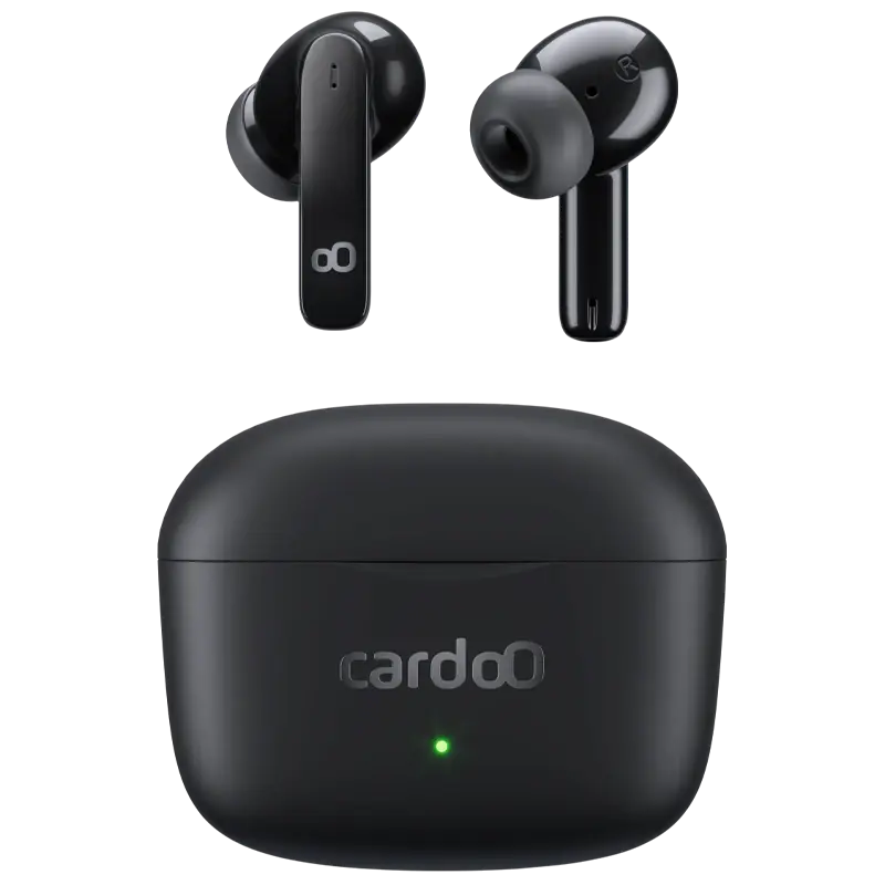 cardoO Buds