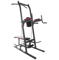Power Tower Dip Station Ms530
